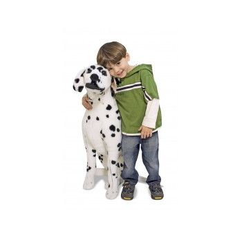 Catel Dalmatian din plus