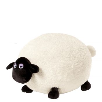 Shirley sheep standing