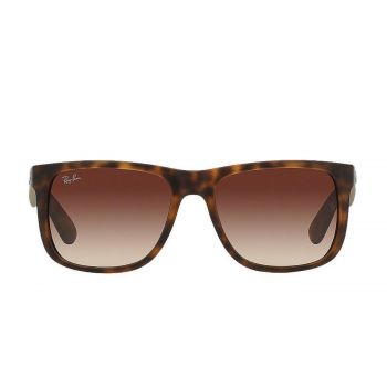 Wayfarer rb4165 710/13 55