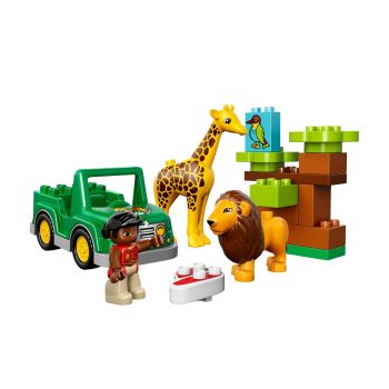 Duplo savanna