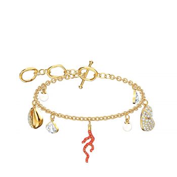 Shell coral bracelet 5520673