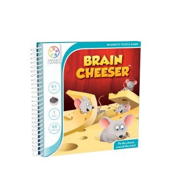 Magnetic puzzle game brain cheeser