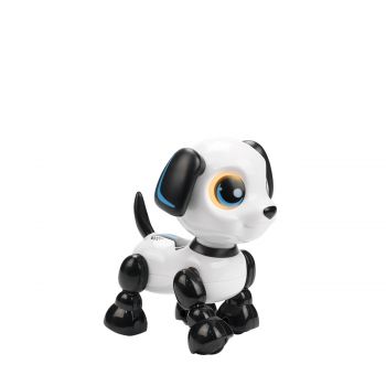 Robo heads up puppy