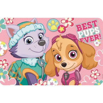 Napron Paw Patrol Skye and Everest Best Pups Ever SunCity