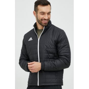 adidas Performance geacă Entrada 22 bărbați, culoarea negru, de tranziție IB6070