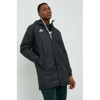 adidas Performance geacă bărbați, culoarea negru, de tranziție IB6076