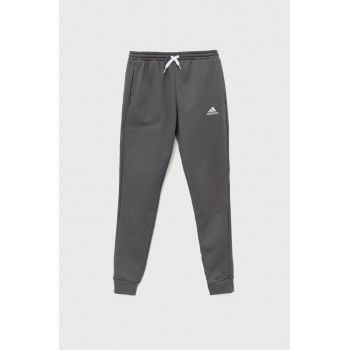 adidas Performance pantaloni de trening pentru copii ENT22 SW PNTY culoarea gri, neted