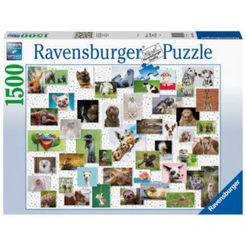 PUZZLE COLAJ CU ANIMALE, 1500 PIESE