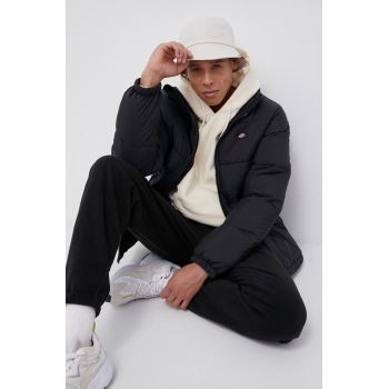 Dickies geacă bărbați, culoarea negru, de iarnă