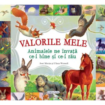 Jucarie Educativa Valorile mele Animalele ne invata ce-i bine si ce-i rau