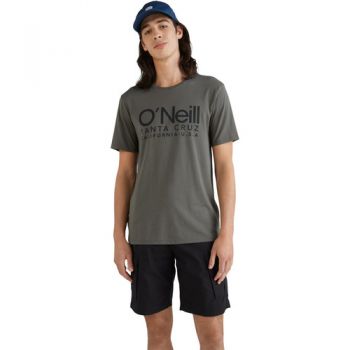 Tricou barbati ONeill Cali Original N2850005-16016 ieftin