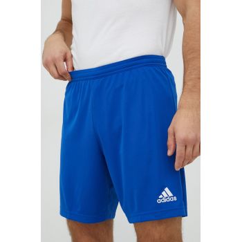 adidas Performance pantaloni scurți de antrenament Entrada 22 bărbați HG6294