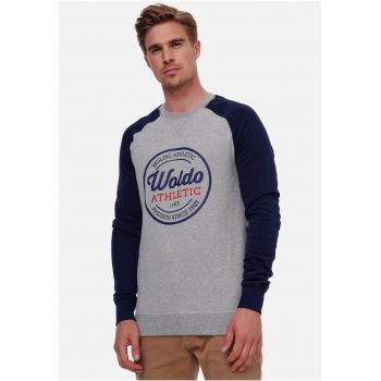 Woldo - Bluza de trening cu imprimeu logo si maneci raglan Runder 1945