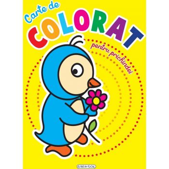 Jucarie Educativa Carte de colorat pentru prichindei