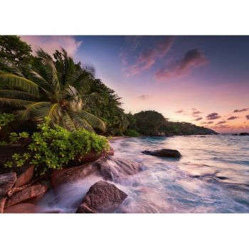 Jucarie Praslin Island in the Seychelles, jigsaw puzzle