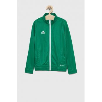 Adidas Performance bluza copii ENT22 TK culoarea verde, neted