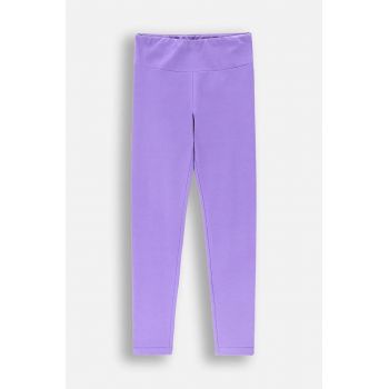 Coccodrillo leggins copii culoarea violet, neted, EVERYDAY GIRL