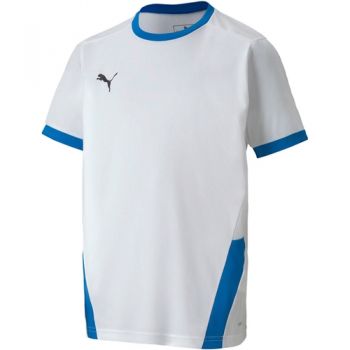 Tricou copii Puma Teamgoal 23 Jersey Jr 70416012