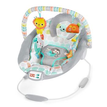 Leagan si balansoar pentru copii Bright Starts, Whimsical Wild