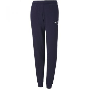 Pantaloni copii Puma Teamgoal 23 Casuals Pants Jr 65671306