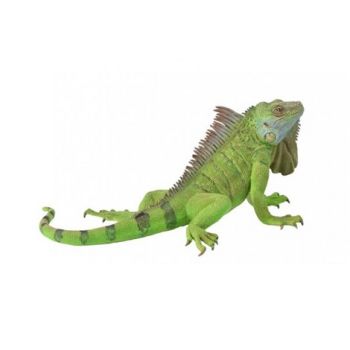 Figurina pictata manual Iguana 88965