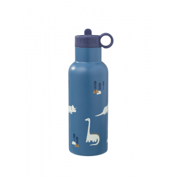 Sticla esentiala termos pentru copii 500 ml model Dino