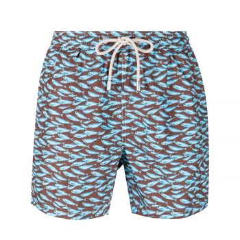 Micro fantasy swim short s