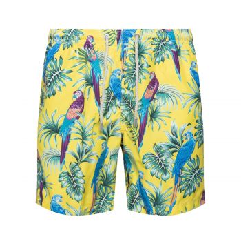 Swim short manaus 91 l