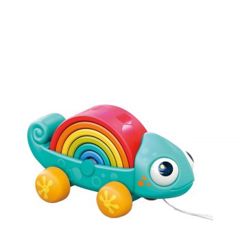 Rainbow chameleon