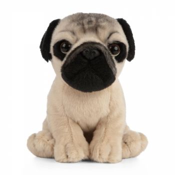 Pui de catelus Pug, Jucarie de plus 16 cm, Living Nature