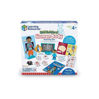 Set Activitati Educative Corpul Uman