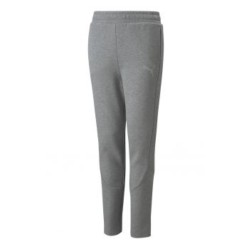 Pantaloni de trening cu croiala conica Evostripe