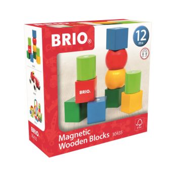 Brio Magnetic Wooden Blocks (30435)