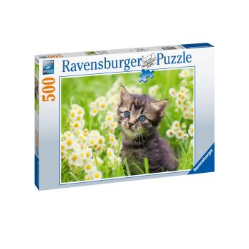 Ravensburger Puzzle Kitten In The Meadow 500p (12000367)