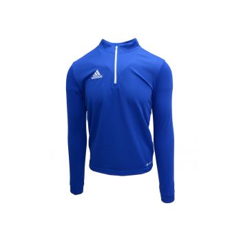 Bluza Entrada 22 Training Top