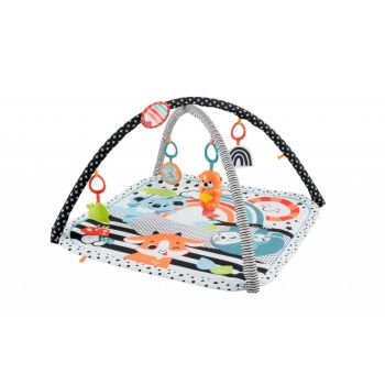 Fisher Price Saltea Muzicala 3 In 1 Cu Centru De Activitati