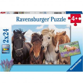 Puzzle Cai, 2X24 Piese