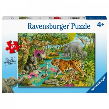 Puzzle Padure In India, 60 Piese