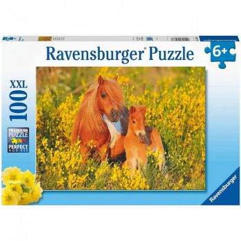 Puzzle Ponei, 100 Piese