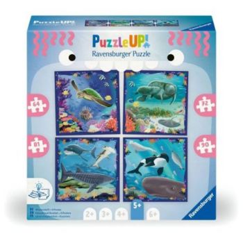 Ravensburger - Puzzle Up animale marine 4 puzzle 64 72 81 90 piese